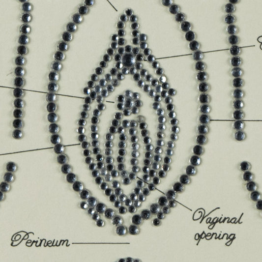 Bedazzled Vulva