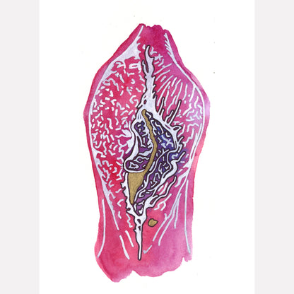 Vibrant vulva art print.