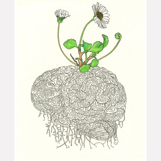 Daisy Brain Art Print - Deb Almond Art