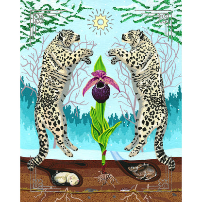 'Snow Leopard & Lady's Slipper Orchid' Giclée Art Print - Deb Almond Art