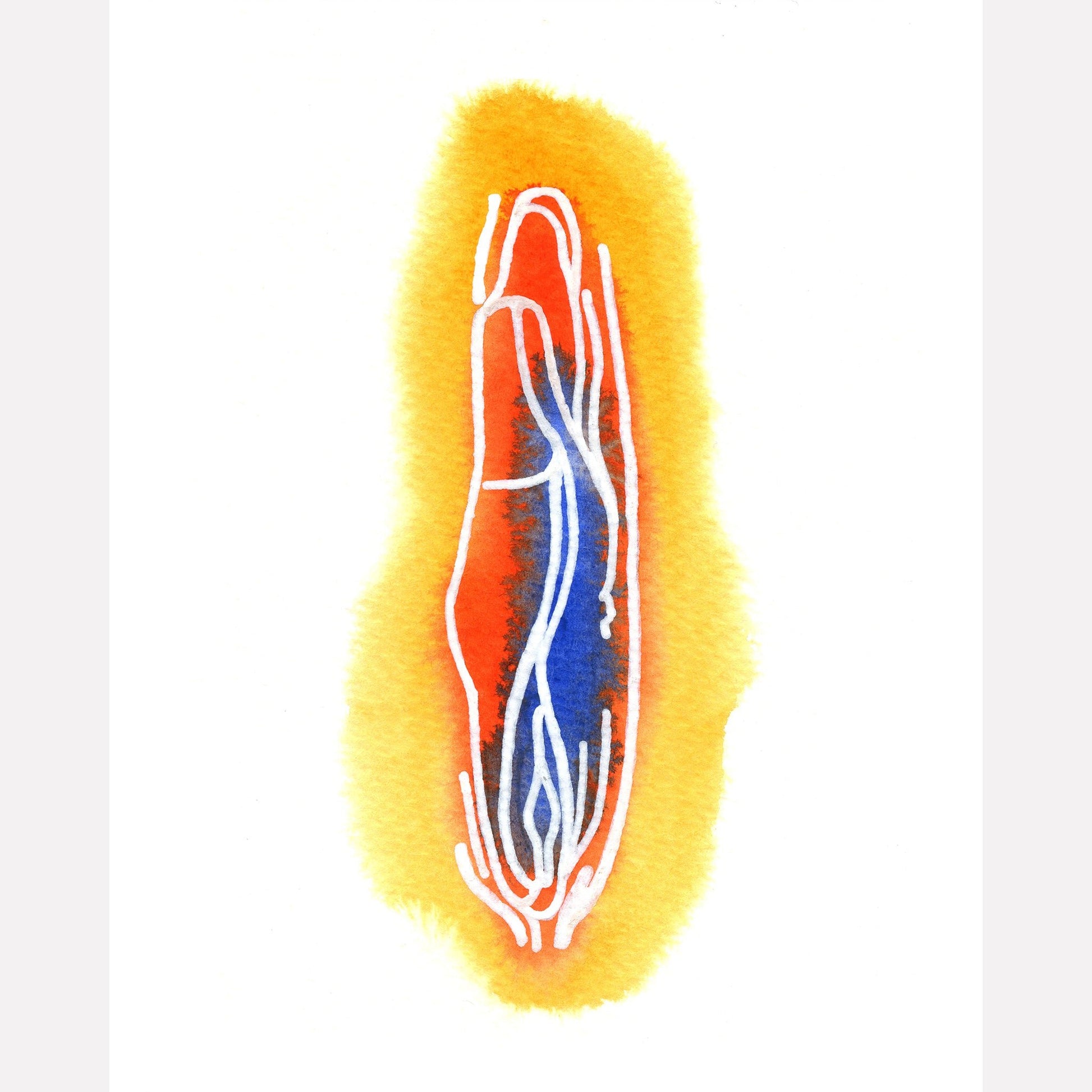 Vulva 02 Art Print - Deb Almond Art