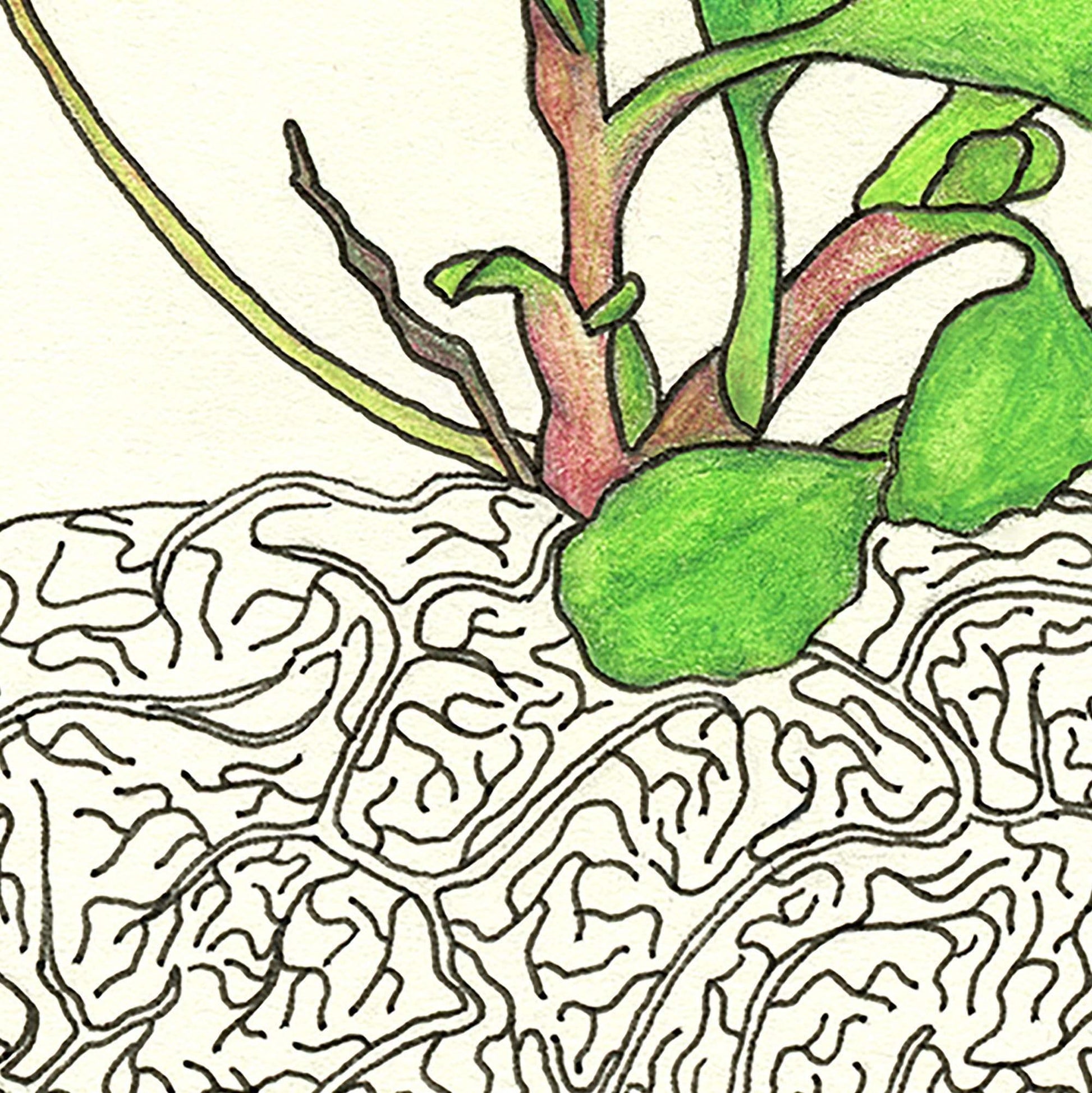 Daisy Brain Art Print - Deb Almond Art